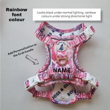 Active Harness - Fruity Sorbet