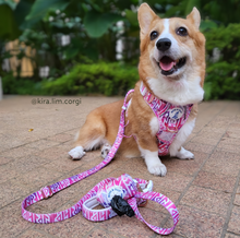 Active Harness - Fruity Sorbet