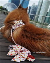 Convertible Leash Plus+ - Autumn Leaves