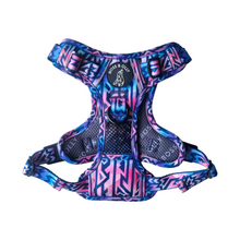 Active Harness - Ombre