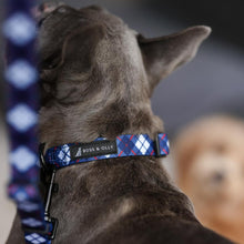 Convertible Leash Plus+  Nautical Plaids