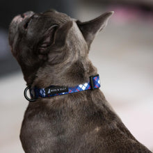 Collar - Nautical Plaids