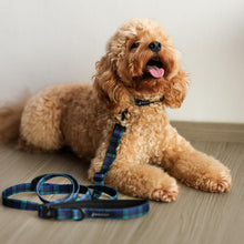 Convertible Leash Plus+  Forest Plaids