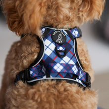 Active Harness - Nautical Plaids