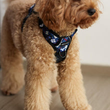 Active Harness - Nautical Plaids