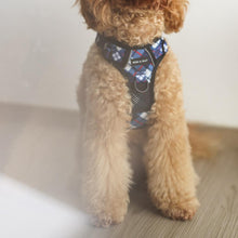 Active Harness - Nautical Plaids