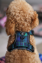 Active Harness - Forest Plaids