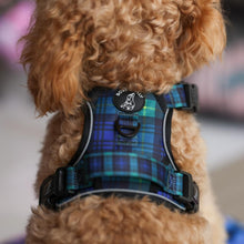 Active Harness - Forest Plaids