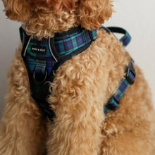 Active Harness - Forest Plaids