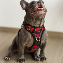 Active Harness - Lumberjack Plaids