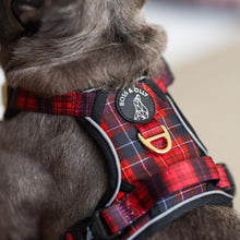 Active Harness - Lumberjack Plaids