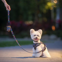 Convertible Leash Plus+  Aztec Rainbow