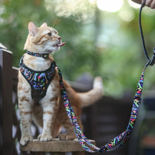 Collar - Aztec Rainbow