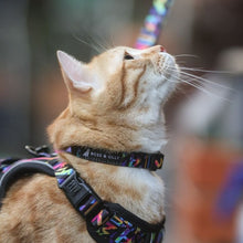 Collar - Aztec Rainbow
