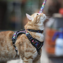 Active Harness - Aztec Rainbow