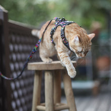 Active Harness - Aztec Rainbow
