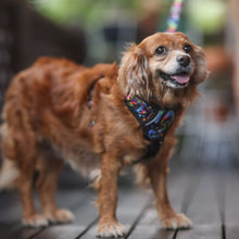 Active Harness - Aztec Rainbow