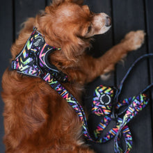 Convertible Leash Plus+  Aztec Rainbow