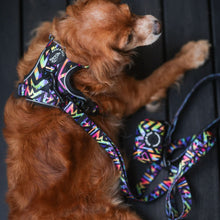 Active Harness - Aztec Rainbow