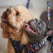 Convertible Leash Plus+  Aztec Rainbow