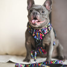 Active Harness - Aztec Rainbow