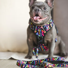 Convertible Leash Plus+  Aztec Rainbow