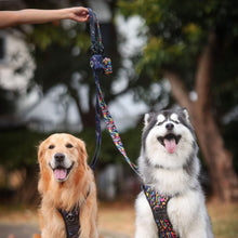 Convertible Leash Plus+ - Midnight Dreams