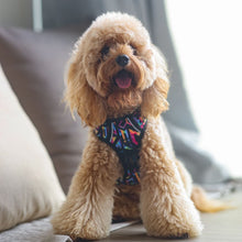 Active Harness - Aztec Rainbow