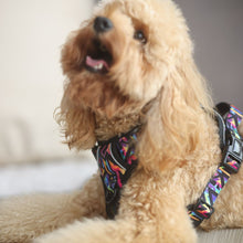 Active Harness - Aztec Rainbow