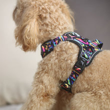 Active Harness - Aztec Rainbow