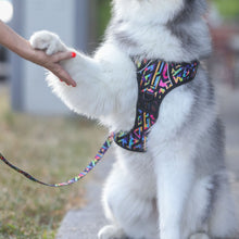 Active Harness - Aztec Rainbow