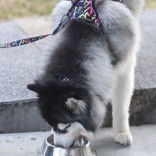 Collar - Aztec Rainbow