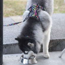 Active Harness - Aztec Rainbow