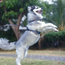 Active Harness - Aztec Rainbow