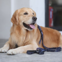 Convertible Leash Plus+ - Midnight Dreams