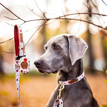 Convertible Leash Plus+ - Autumn Leaves