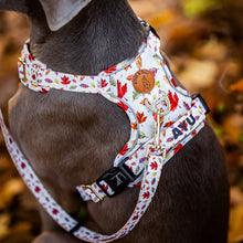 Convertible Leash Plus+ - Autumn Leaves