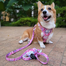 Convertible Leash Plus+ - Fruity Sorbet