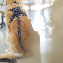 Convertible Leash Plus+ - Midnight Dreams