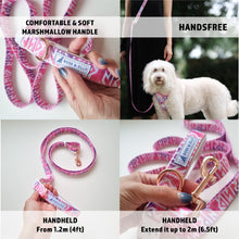 Convertible Leash Plus+  Lumberjack Plaids