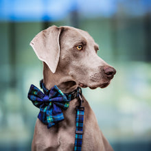 Convertible Leash Plus+  Forest Plaids