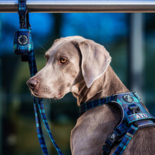 Convertible Leash Plus+  Forest Plaids