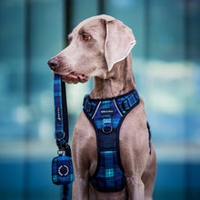 Convertible Leash Plus+  Forest Plaids