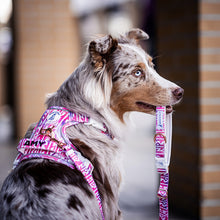 Convertible Leash Plus+ - Fruity Sorbet