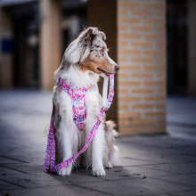 Convertible Leash Plus+ - Fruity Sorbet