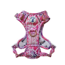 Active Harness - Fruity Sorbet