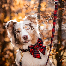 Convertible Leash Plus+  Lumberjack Plaids