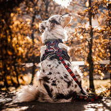 Convertible Leash Plus+  Lumberjack Plaids