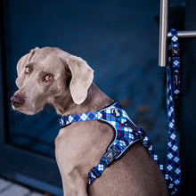 Convertible Leash Plus+  Nautical Plaids