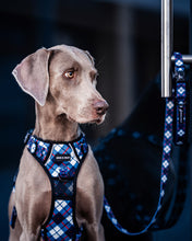 Convertible Leash Plus+  Nautical Plaids